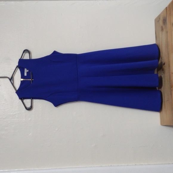Milly Blue Fit & Flare Sleeveless Dress Exposed Goldtone Back Zip Size 4 - Picture 10 of 11